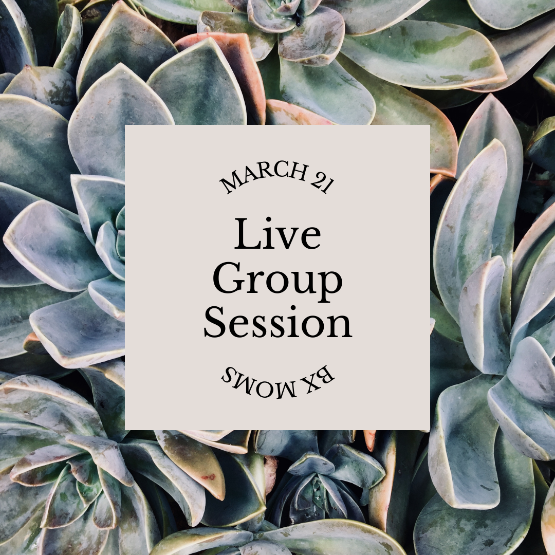 text: Bx moms live group session