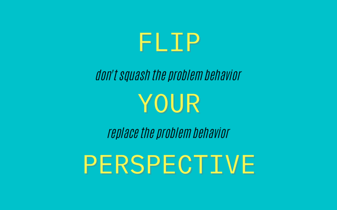 What would happen if you flipped your parenting perspective? No more whack-a-mole!