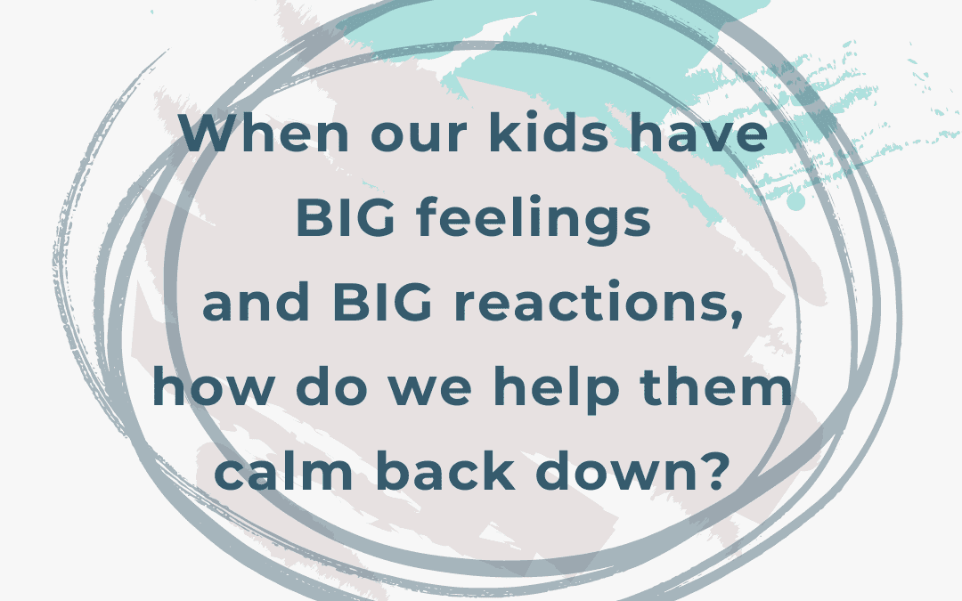 Do Calming Strategies Always Have to Be Calm?